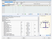 Stabilitätsnachweis inkl. Wölbkrafttorsion in RF-/STAHL AISC