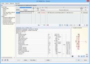 Využití v modulu RF-TIMBER Pro