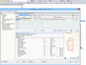 Posouzení na vzpěr