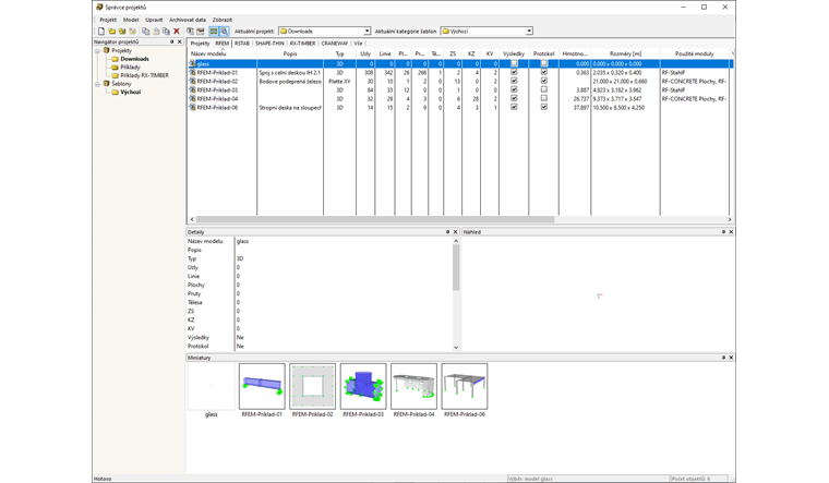 Projektový manažer