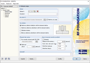 Dialog 1.1 Základní údaje v FOUNDATION
