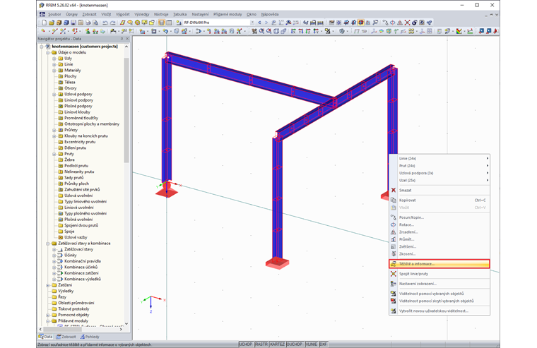 Těžiště a informace