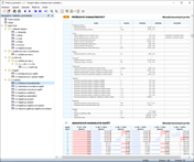 Náhled tisku v tiskovém protokolu