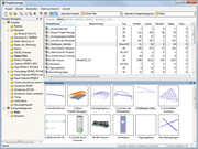 Konzept des Projektmanagers