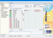 Basisangaben in HOLZ Pro mit Zuordnung der Bemessungssituation