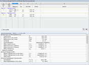 Maske '6.2.3 Gebrauchstauglichkeit für nichtlineare Berechnung stabweise'