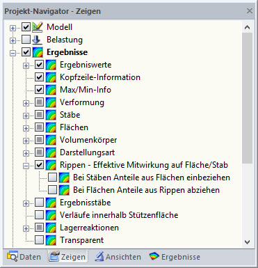 Anzeige Schnittgrößen nur für die Rippe