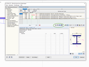 Filtermöglichkeit der Detailergebnisse in RF-STAHL EC3