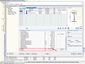 Auswahl der Knicklinie im Zusatzmodul RF-/STAHL EC3