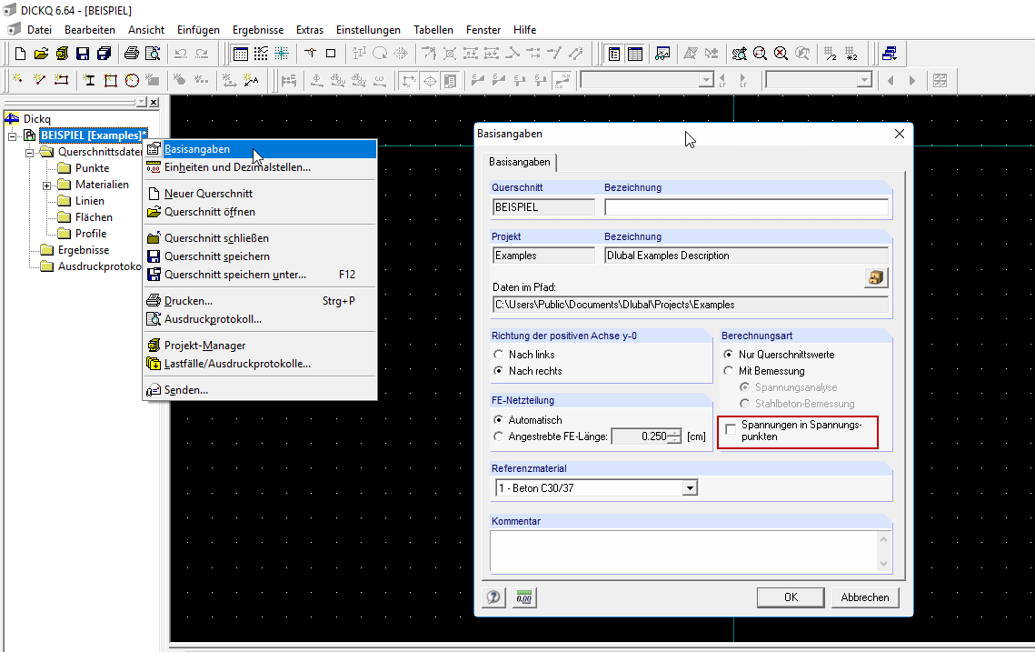 Einstellung Basisangaben DICKQ