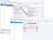 Modifizierte Steifigkeiten für die Simulation von Bauteilausfällen