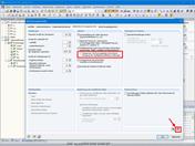 Berechnungsparameter in RSTAB