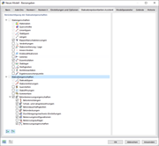 Dialog 'Neues Modell - Basisangaben', Register 'Stabsatzrepräsentanten-Assistent'