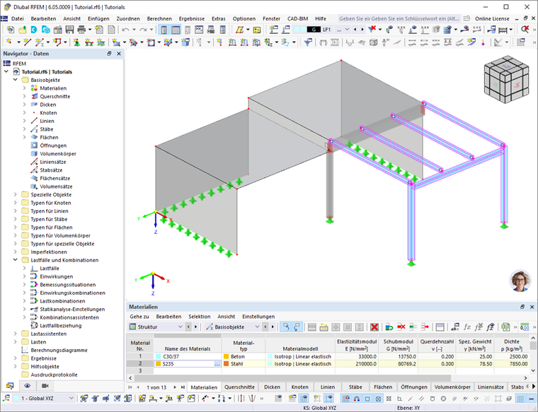 Benutzeroberfläche von RFEM