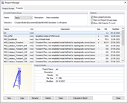 Projektmanager, Projekte