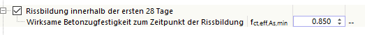 Rissbildung innerhalb der ersten 28 Tage