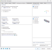 Dialog 'Neues Modell - Basisangaben', Register 'Einstellungen und Optionen'