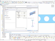 Feature 002550 | Stabtyp "Flächenmodell"