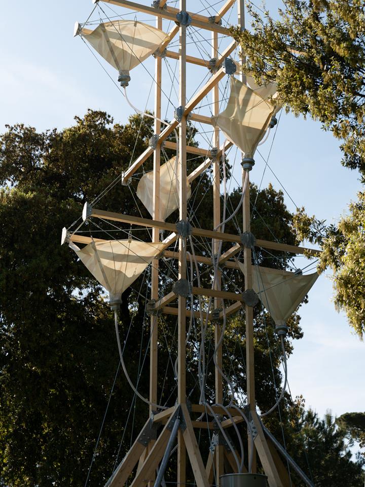 Installation zur Gewinnung und Ableitung von Regenwasser (© Victoria Tanto)