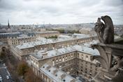 Wasserspeier am Notre-Dame in Paris