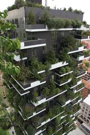 Das Konzept von begrünten Gebäudefassaden, wie hier bei den Zwillingstürmen eines Hochhauskomplexes in Mailand, wird "Vertikaler Wald" genannt.