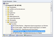 Übersicht über die Optionen des Zusatzmoduls RF-BETON Flächen im Daten-Navigator der Statiksoftware.