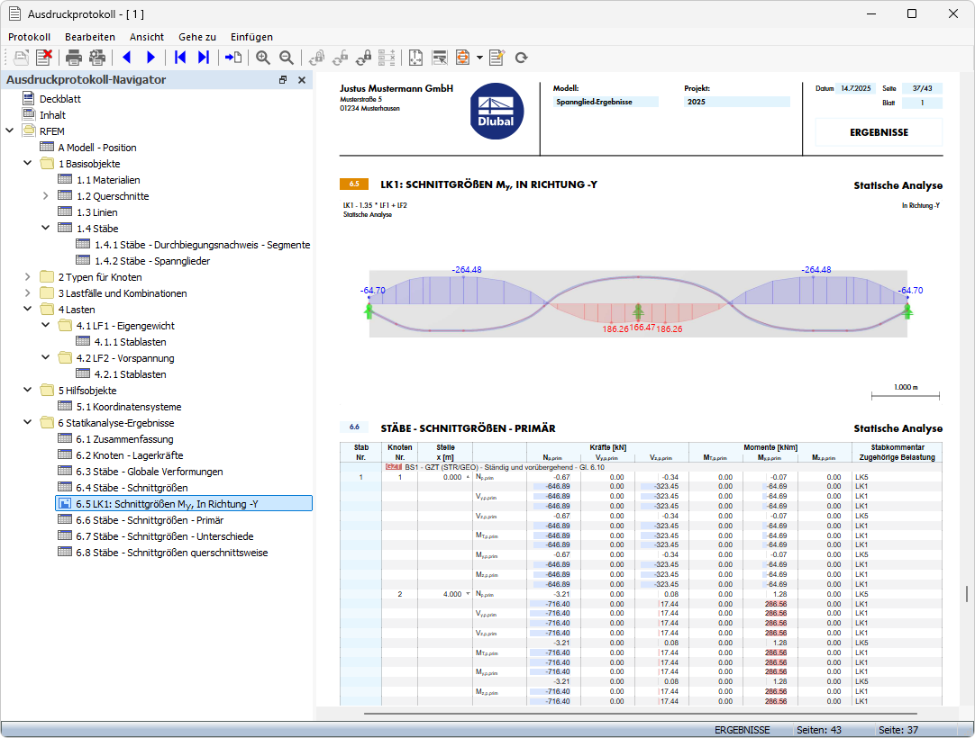 Dokumentation der Ergebnisse im Ausdruckprotokoll