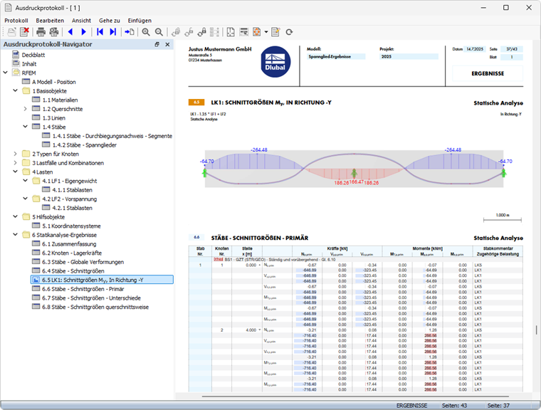 Dokumentation der Ergebnisse im Ausdruckprotokoll