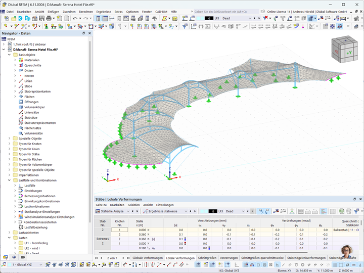 Ein detailliertes Modell einer Stahl-Membran-Überdachung visualisiert im Programm für Bauingenieurwesen. Ein Beispiel für komplexe Strukturmodellierung.