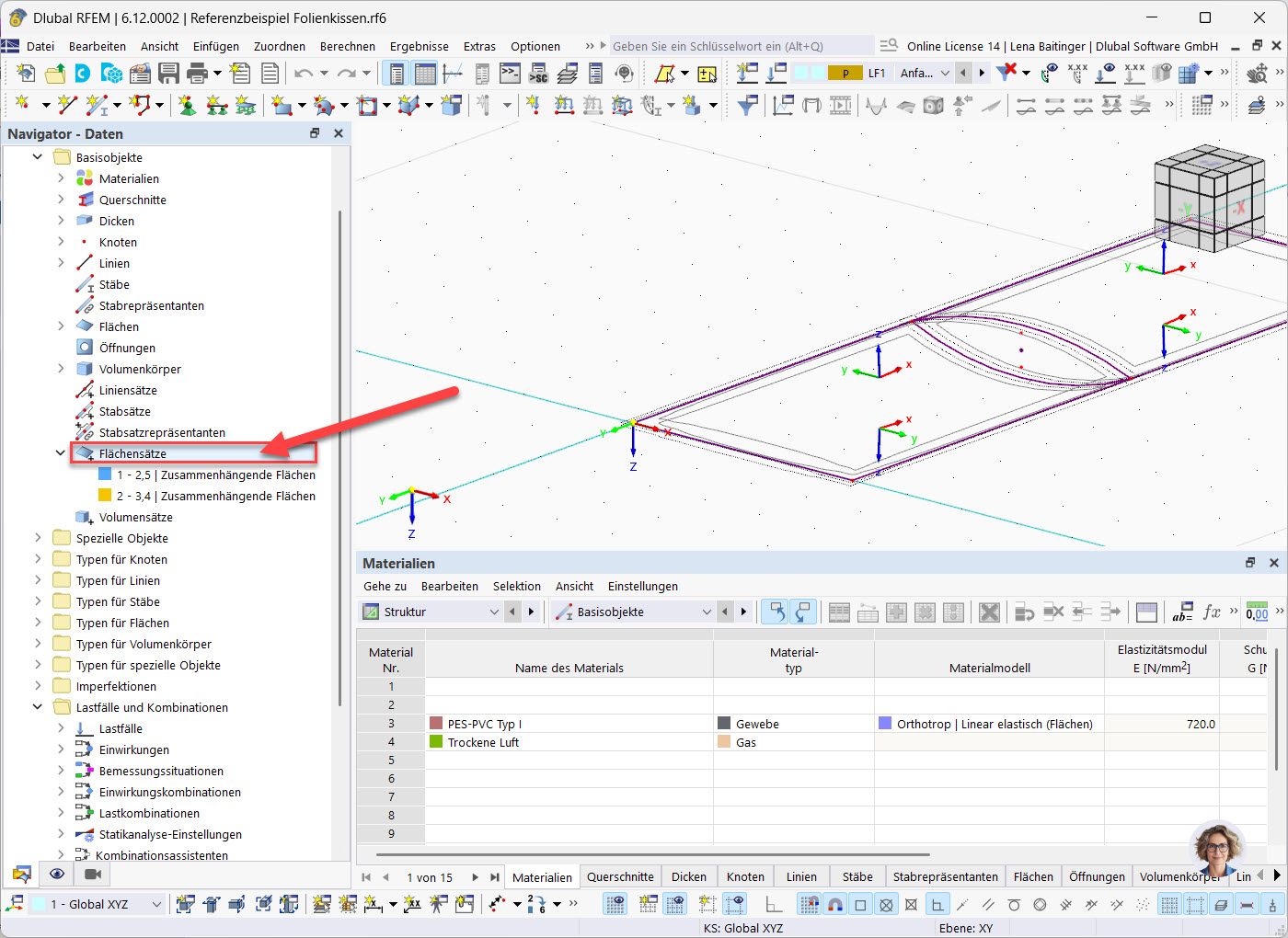 RFEM-Benutzeroberfläche zeigt den Navigatoreintrag 'Flächensätze'.