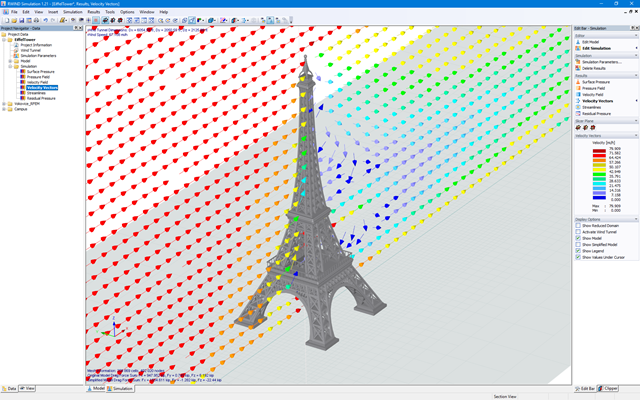 Velocity Vectors of Wind Flows on Model of the Eiffel Tower