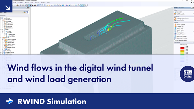Wind flows in the digital wind tunnel and wind load generation