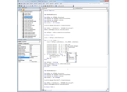 Program Code in Visual Studio