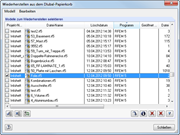 Restoring from Dlubal Recycle Bin