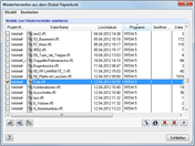 Restoring from Dlubal Recycle Bin