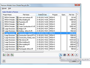 Restoring from Dlubal Recycle Bin