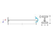 Cantilever Under Torsion with Warping