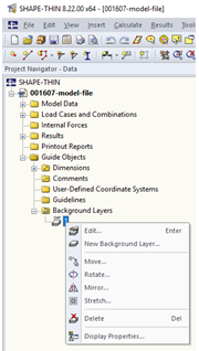 Project Navigator - Data, Background Layer