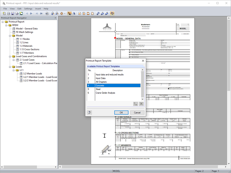 Printout Report Template