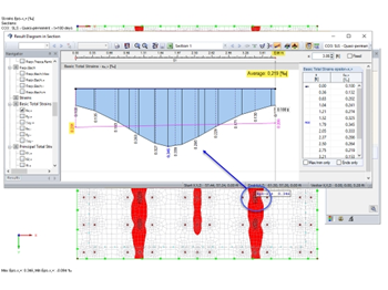 Section Along Crack Strip Width