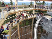 View of Inside of Tree Tower (© WIEHAG)