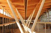 Timber Roof Supported by Steel Columns (© ATP)