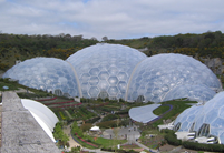 Rainforest Biome of Eden Project in Cornwall, England