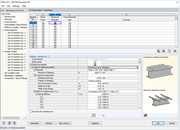 Entering Data in RF-/STEEL EC3
