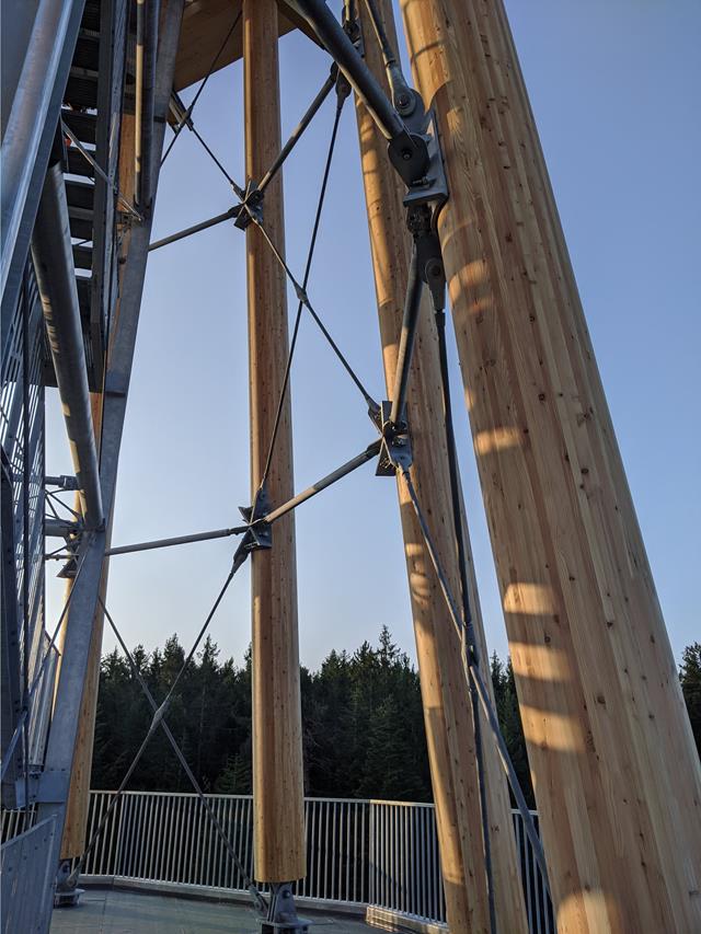 Timber Columns and Bracing (© Ingenieurbüro Braun GmbH & Co. KG)