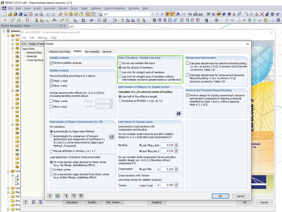 Selection Option for Member-Like Input in RF-/ALUMINUM