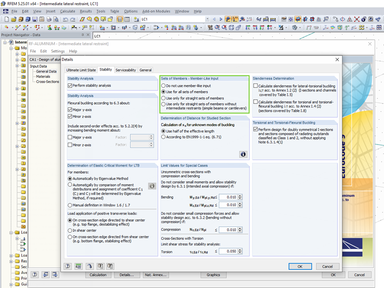 Selection Option for Member-Like Input in RF-/ALUMINUM
