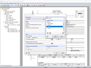 Printout Report Header