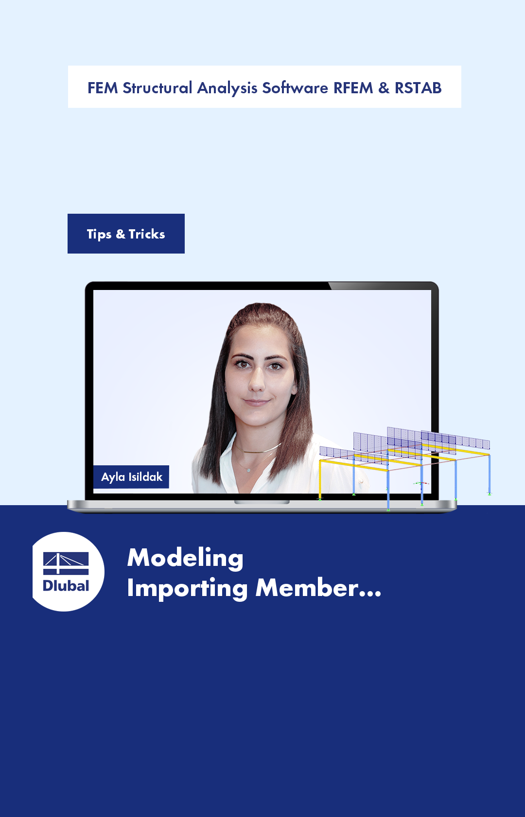 FEA Software RFEM \n and Structural Analysis Software RSTAB 