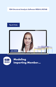 FEA Software RFEM \n and Structural Analysis Software RSTAB 